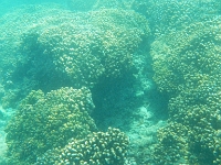 DSCN5020