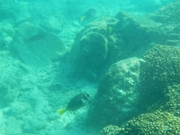 DSCN5023