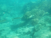 DSCN5028