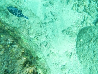 DSCN5035