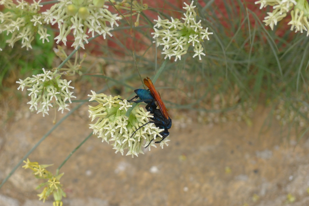 P1270043