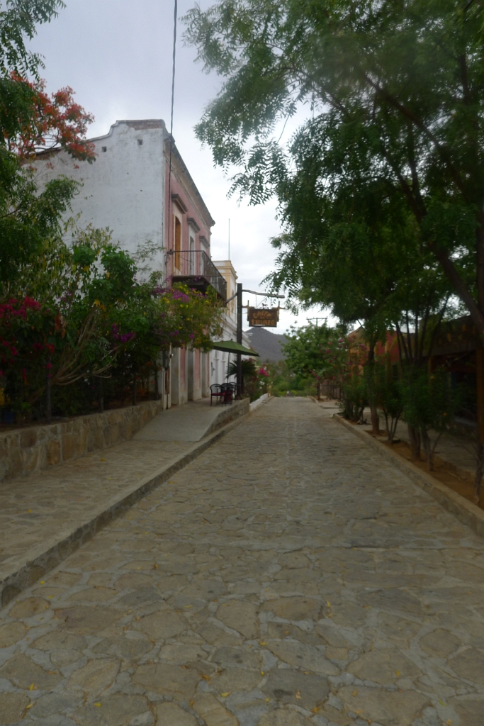 P1270057
