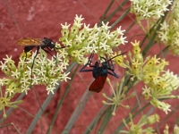 P1040471