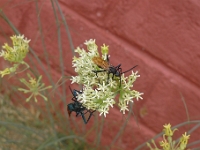P1270045