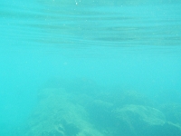 DSCN4880