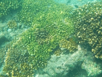 DSCN4883