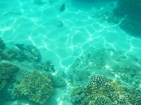 DSCN4890