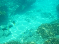 DSCN4891