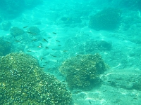 DSCN4892