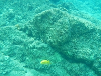 DSCN4897