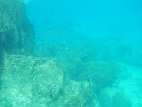 DSCN4903