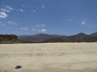 P1040567
