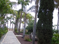 P1010047