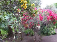 P1010050