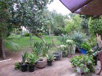 P1010055