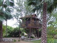 P1010056