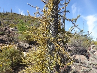 P1010060