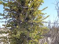 P1010079