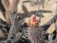 P1010095