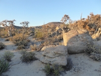 P1010189