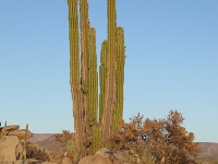 P1010192