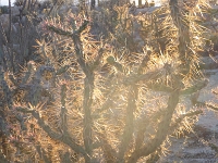 P1010194