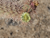 P1010225