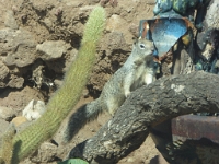 P1010235