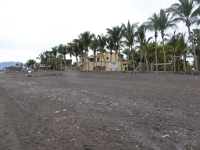 P1040319