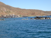 P1040357