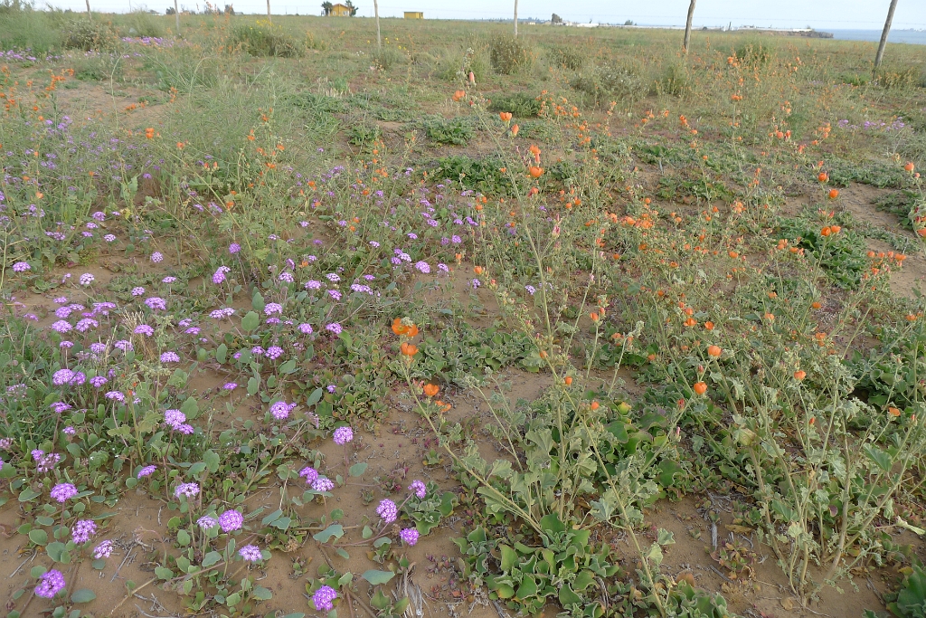 P1260448