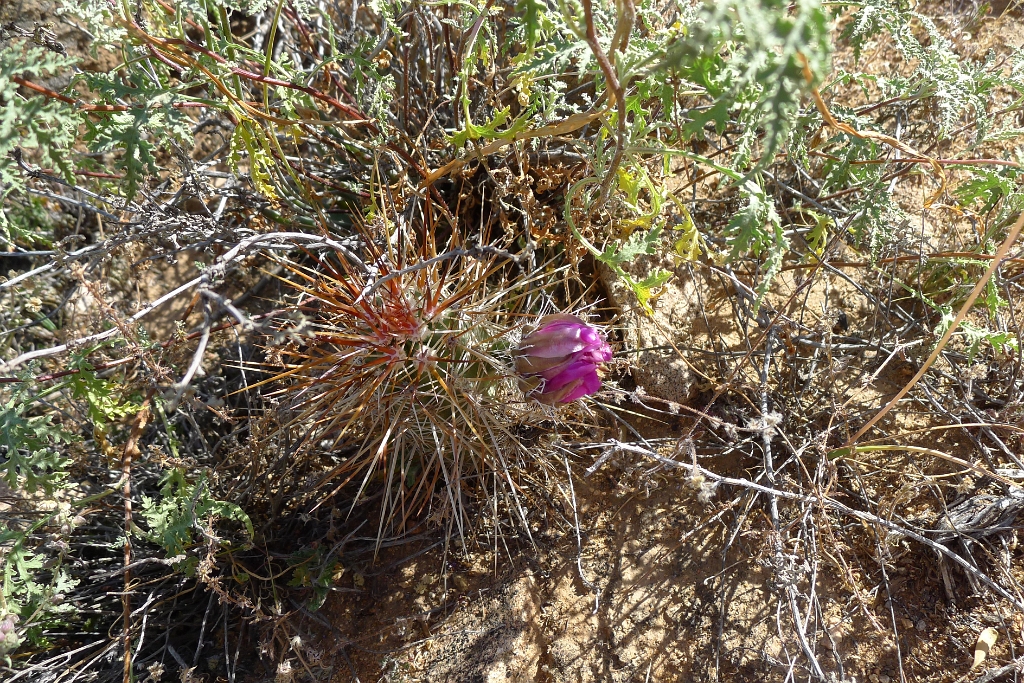 P1260467