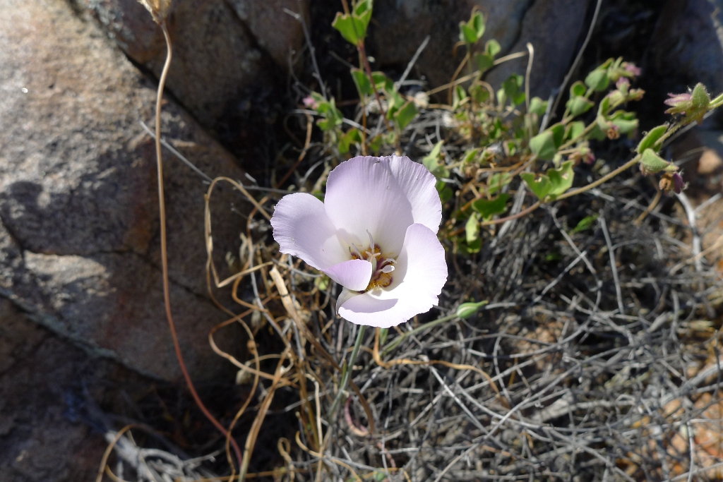 P1260468