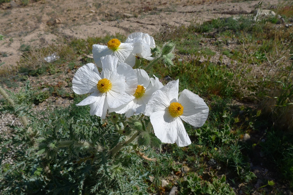 P1260477