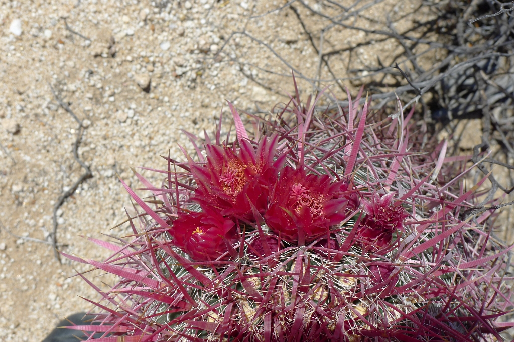 P1260487