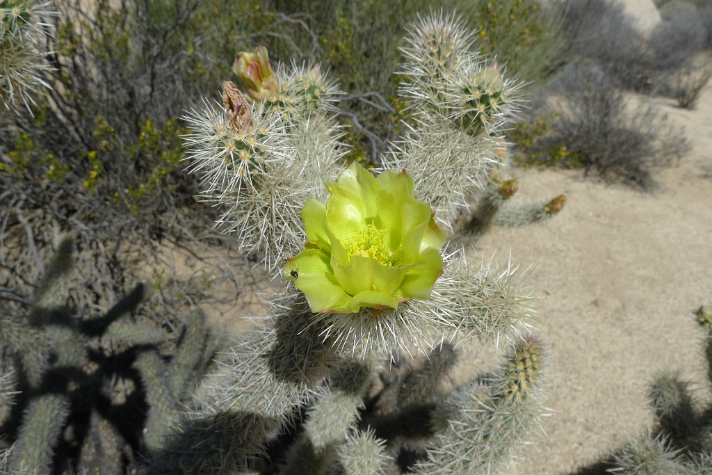 P1260499