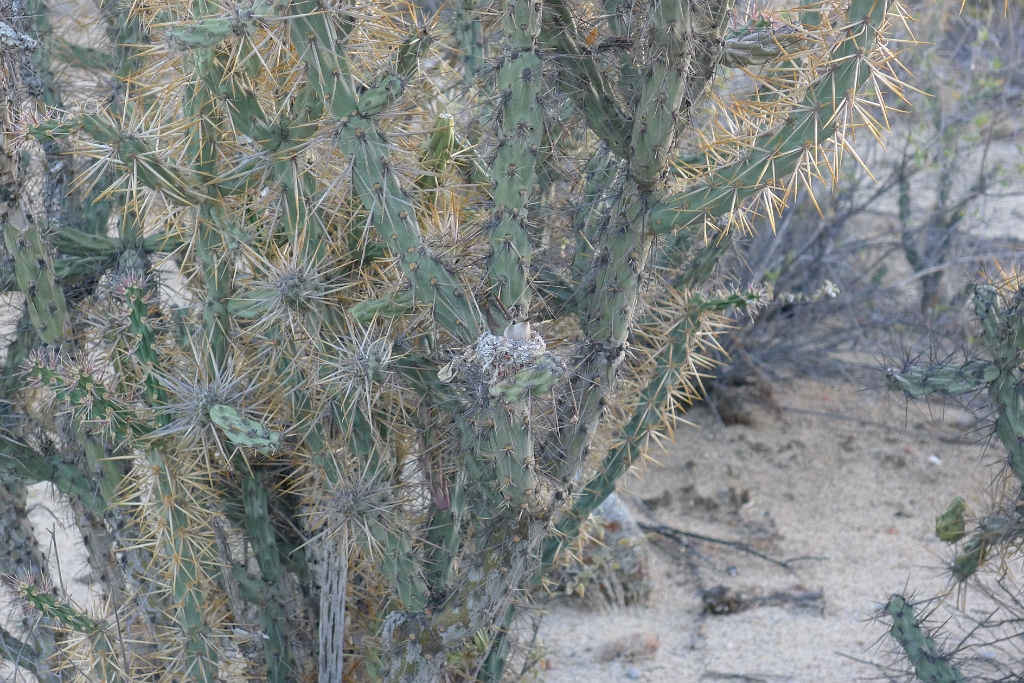 P1260833