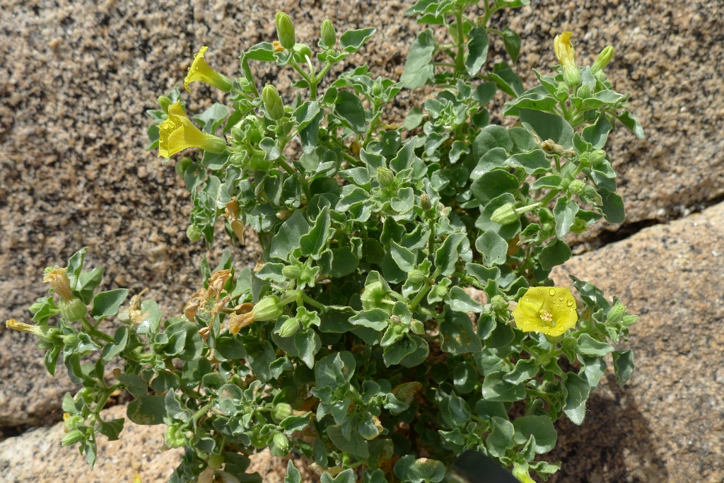 P1260859