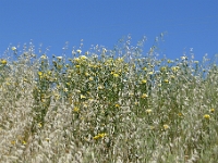 P1260430