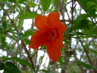 P1260449