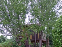 P1260454