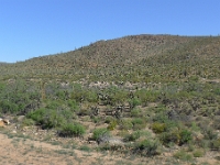 P1260457
