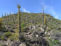P1260460