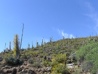 P1260464