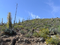 P1260466