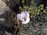 P1260468