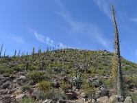 P1260470
