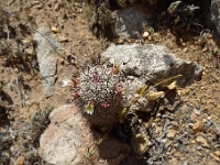 P1260471