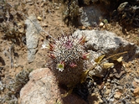 P1260472