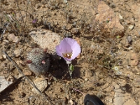 P1260474